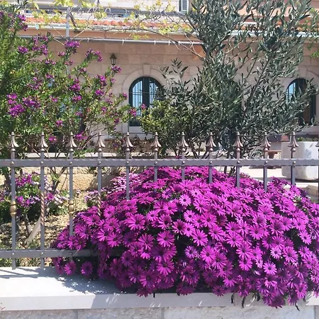 Marija Apartmán Podgora (Split-Dalmatia)